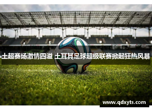 土超赛场激情四溢 土耳其足球超级联赛掀起狂热风暴